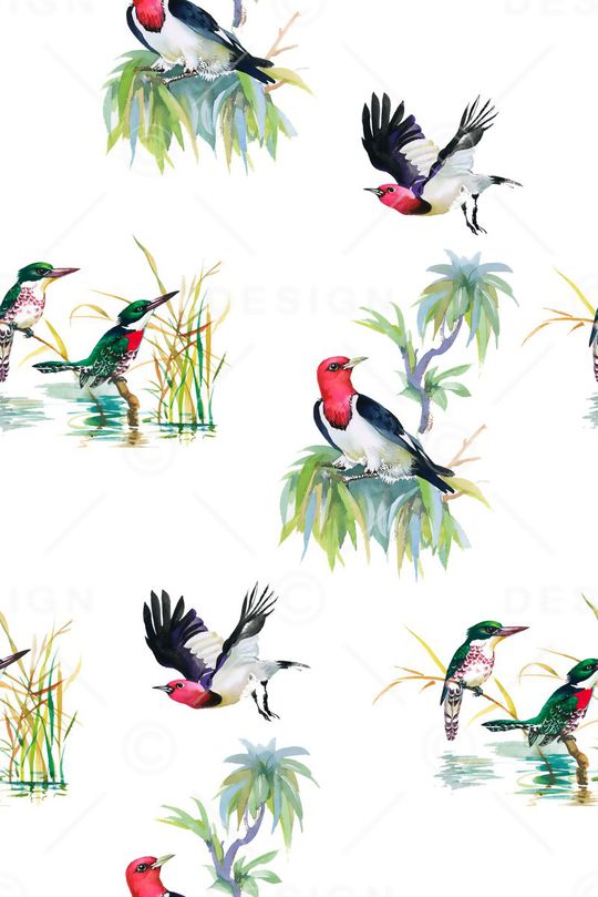 热带印花华亿平台图片