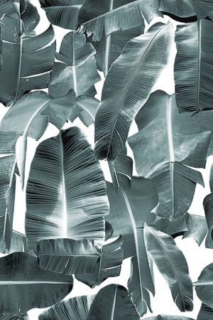 棕榈叶印花华亿平台图片