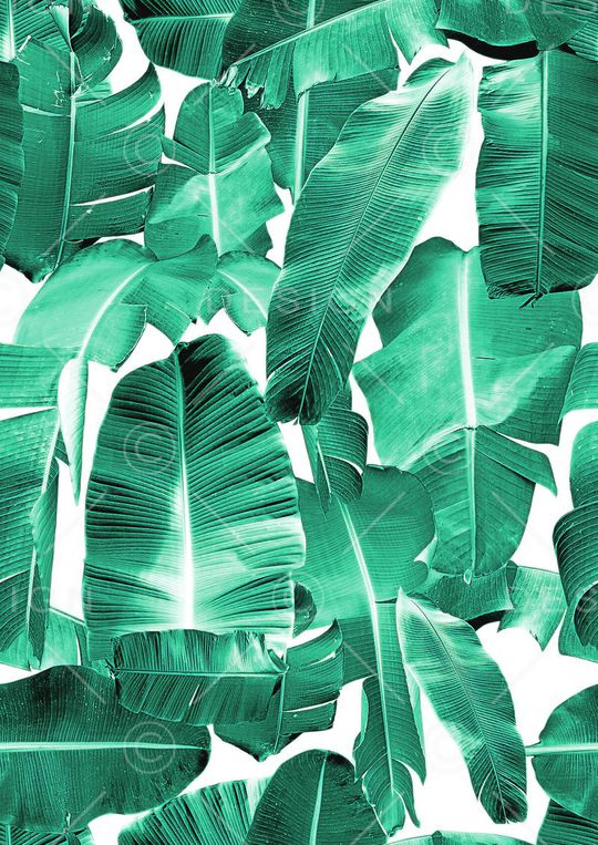 棕榈叶印花华亿平台图片