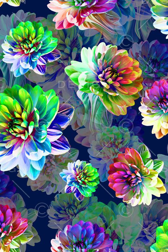 女装印花华亿平台图片