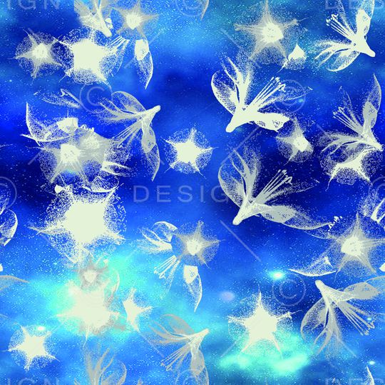 莫妮卡-女装华亿平台印花华亿平台图片