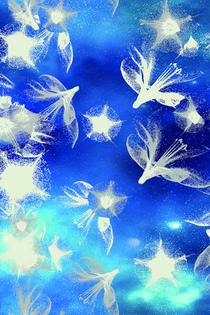 莫妮卡-女装华亿平台印花华亿平台图片