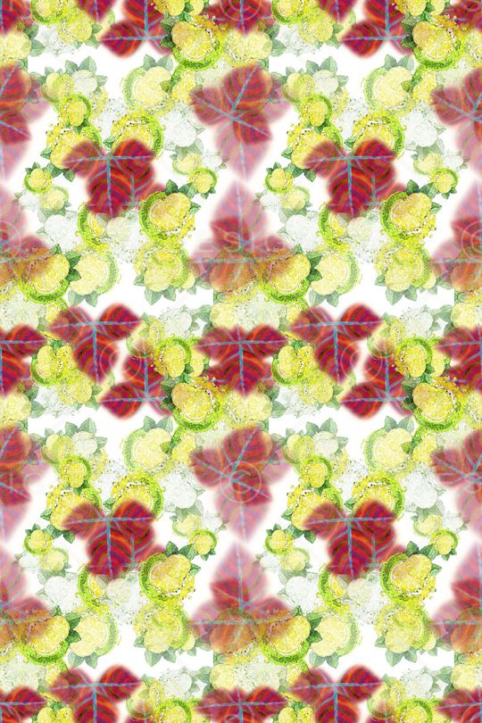 棕榈叶印花华亿平台图片