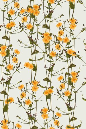 原创摄影小花印花华亿平台图片