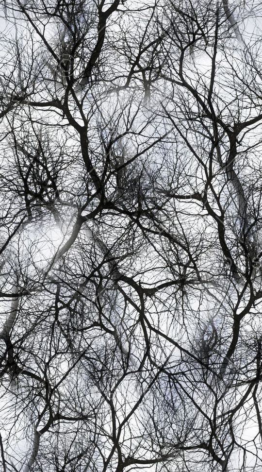 时尚印花华亿平台图片