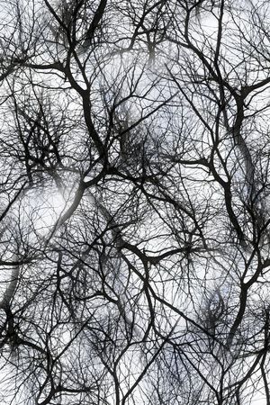 时尚印花华亿平台图片