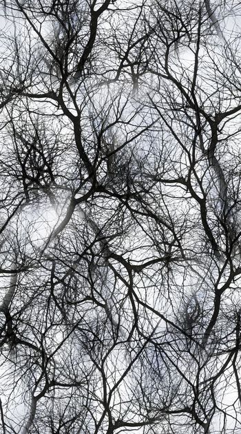 时尚印花华亿平台图片