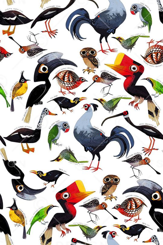 动物印花华亿平台图片