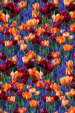 花朵印花华亿平台图片