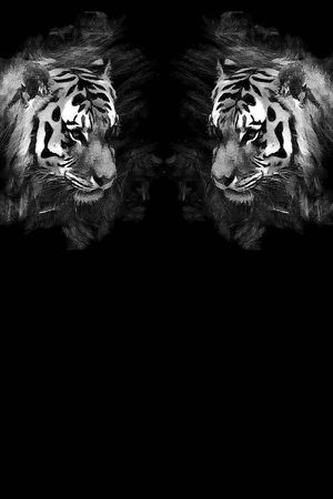 男装印花华亿平台图片