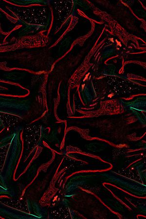 男装印花华亿平台图片