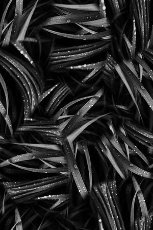 男装印花华亿平台图片