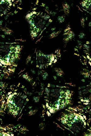 男装印花华亿平台图片