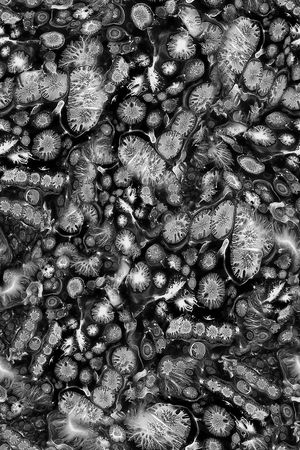 细胞印花华亿平台图片