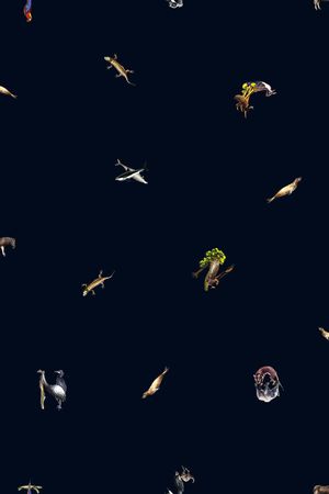 男装印花华亿平台图片