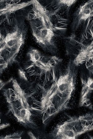 男装印花华亿平台图片