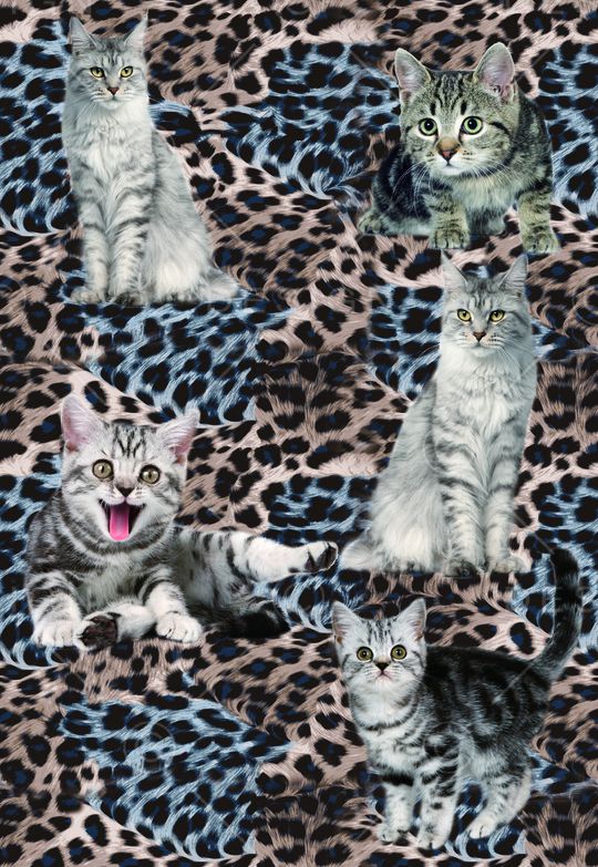 莫妮卡-女装华亿平台印花华亿平台图片