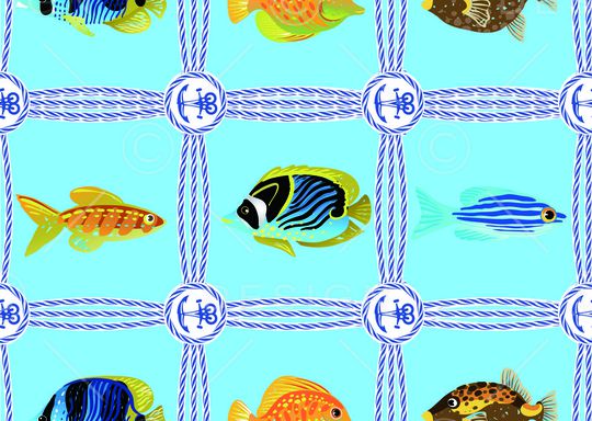 莫妮卡-女装华亿平台印花华亿平台图片