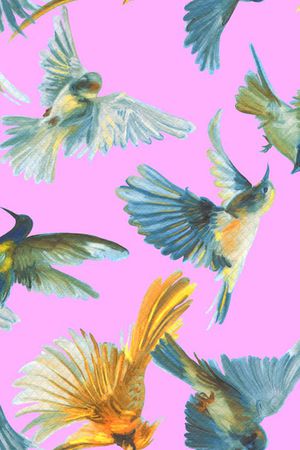 喜鹊印花华亿平台图片