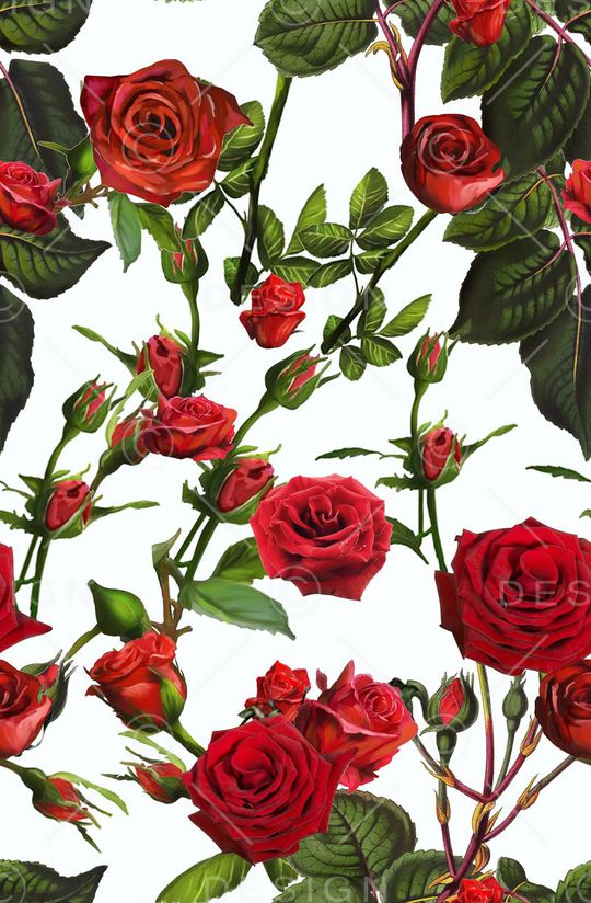 玫瑰花朵印花华亿平台图片