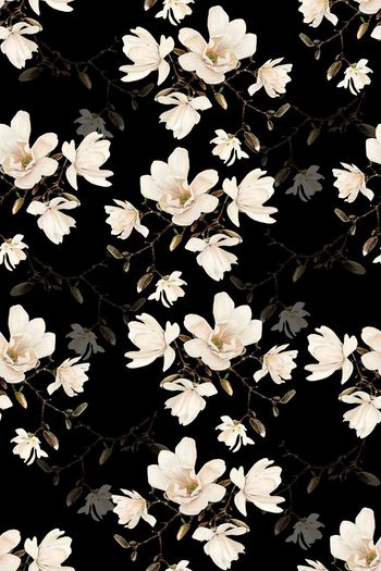 652232-桃花 黑色底