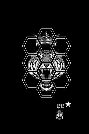 PP戴皇冠的小老虎印花华亿平台图片