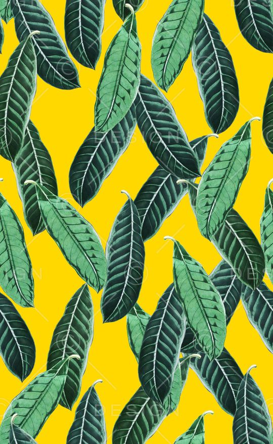 热带植物印花华亿平台图片