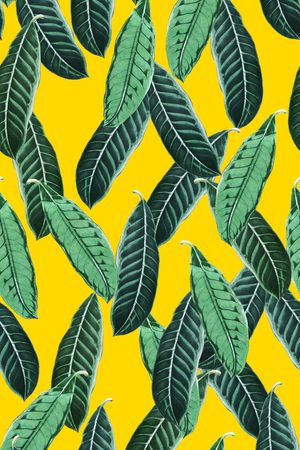 热带植物印花华亿平台图片