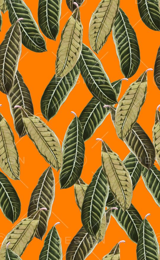 热带植物印花华亿平台图片