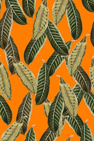 热带植物印花华亿平台图片