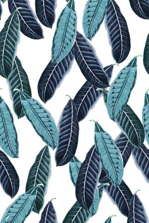 热带植物印花华亿平台图片