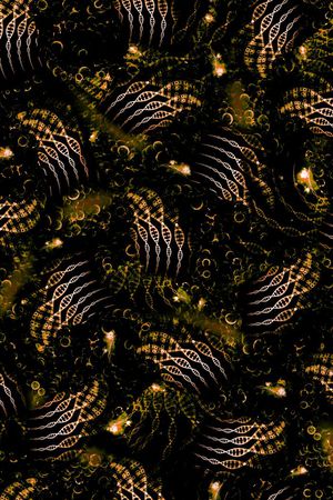 抽象印花华亿平台图片