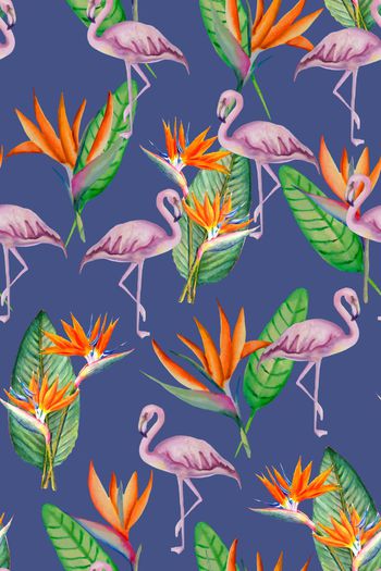 652561-2016-6-17天堂鸟花卉1