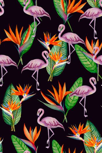 652562-2016-6-17天堂鸟花卉2