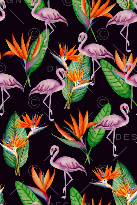 女装印花华亿平台图片