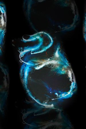 女装华亿平台印花华亿平台图片