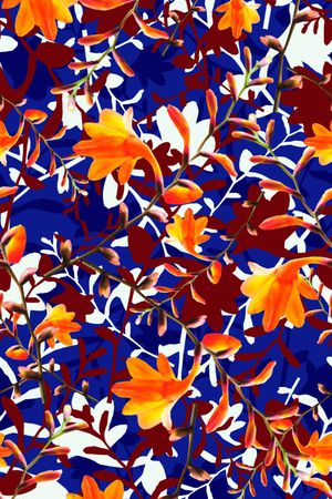 撞色花卉组合印花华亿平台图片