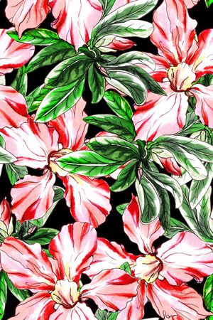 大朵印花华亿平台图片