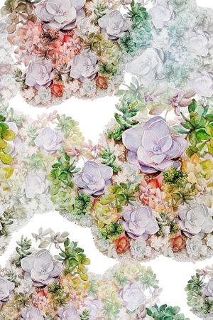 色彩印花华亿平台图片