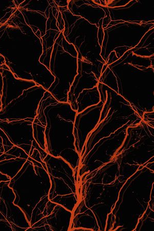 潮流时尚印花华亿平台图片