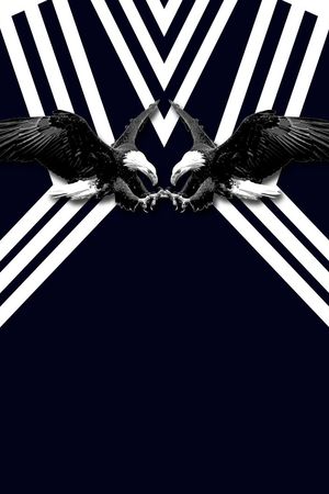 Neil印花华亿平台图片