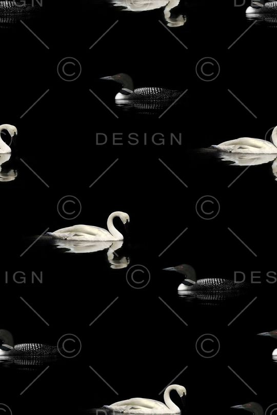 天鹅印花华亿平台图片