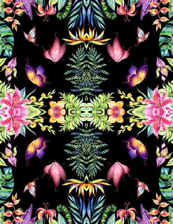 652893-群花绽放蝴蝶争芬花卉