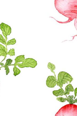 红萝卜印花华亿平台图片