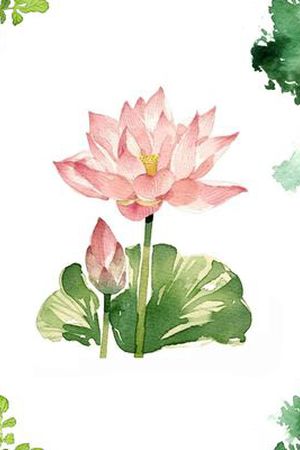 荷花印花华亿平台图片