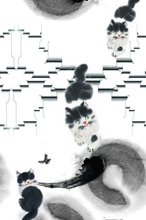 莫妮卡-女装华亿平台印花华亿平台图片