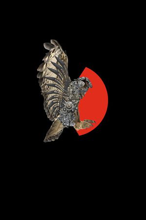 neil印花华亿平台图片