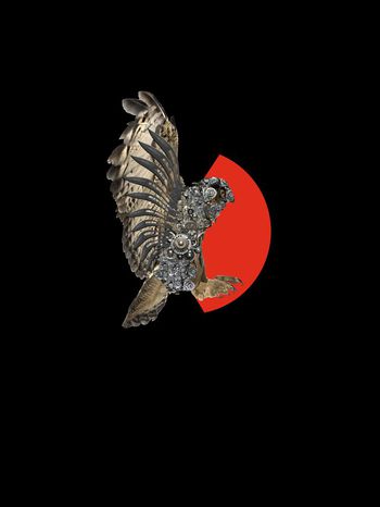 neil印花华亿平台图片