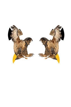 neil印花华亿平台图片