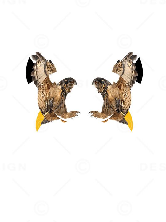 neil印花华亿平台图片